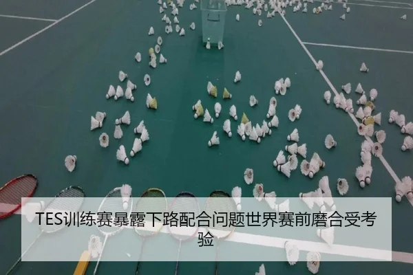 TES训练赛暴露下路配合问题世界赛前磨合受考验